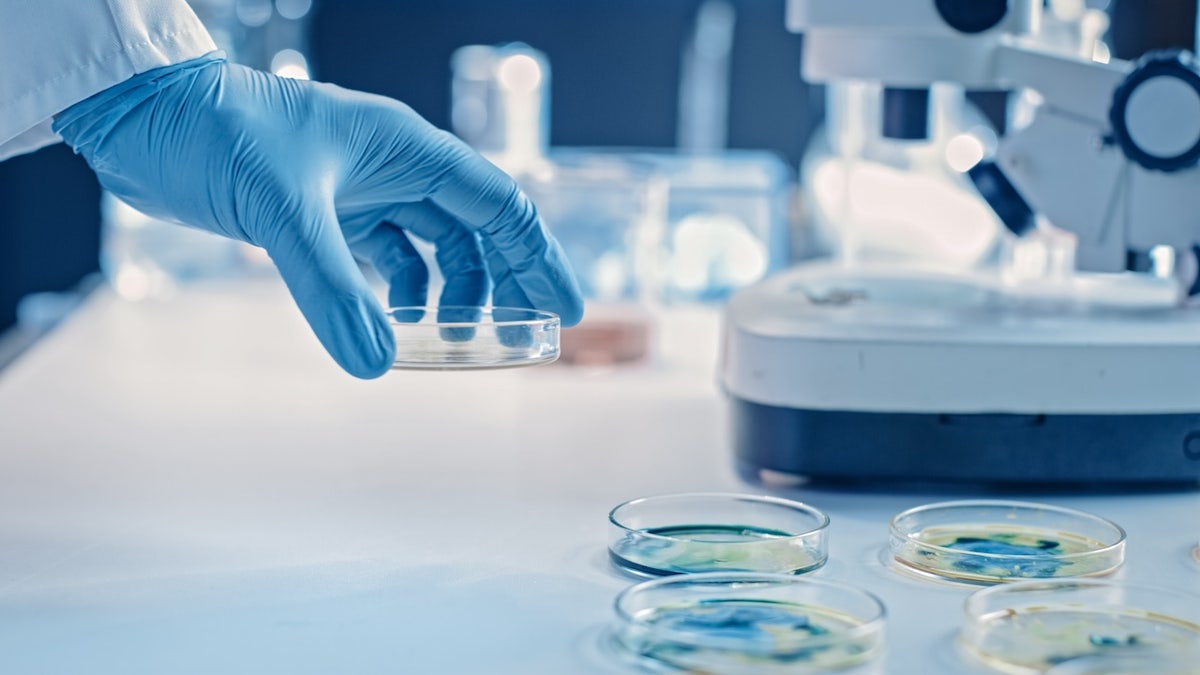 Laboratory search