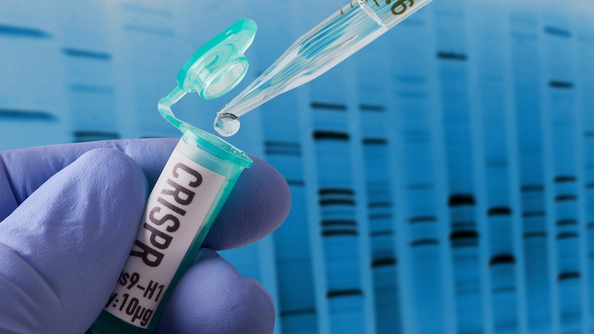 Editing of Genes Crispr