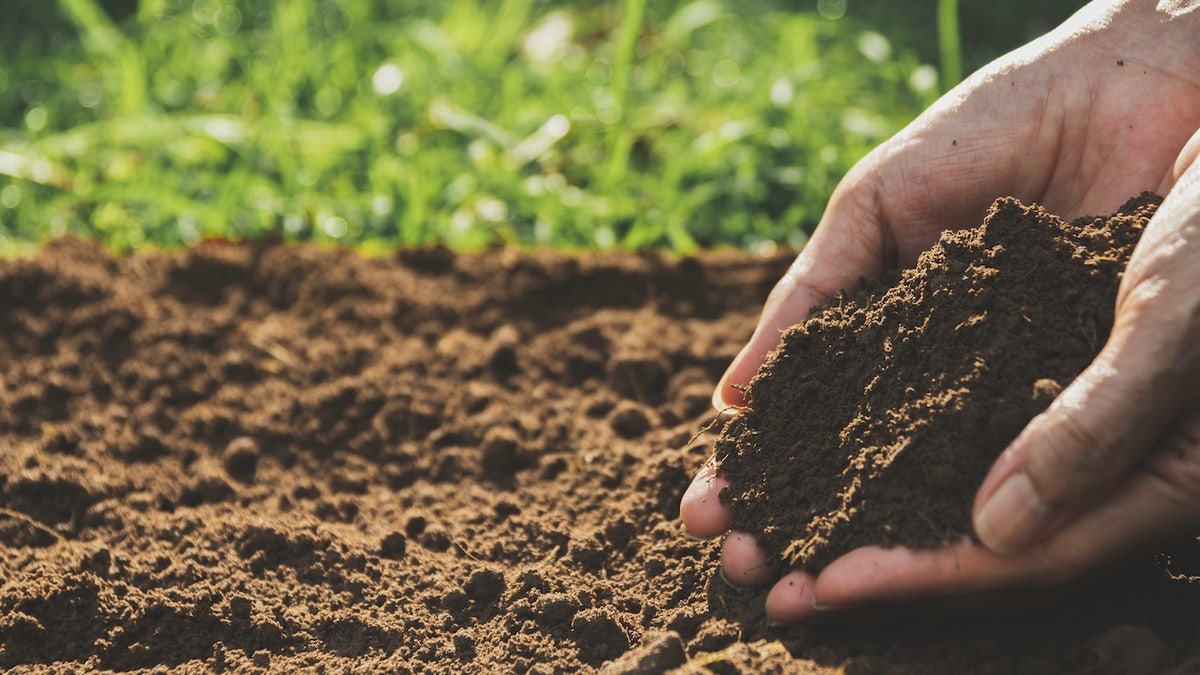 Excavate the soil