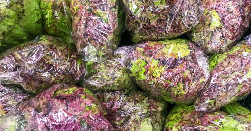 Now is not time to eat lettuce