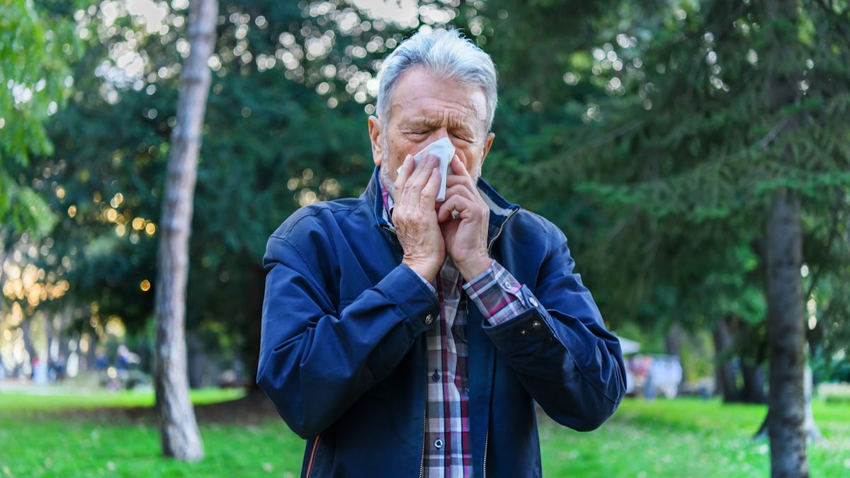 The 10 U.S. allergy "capitals", as well as 4 tips for managing symptoms